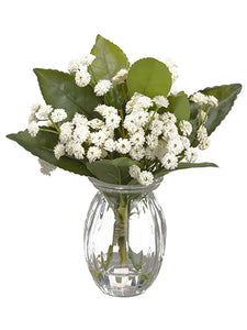 7.5" Gypsophila in Glass Vase  White (pack of 6)