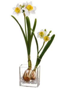 18.5" Daffodil w/Bulb in Glass Vase White Yellow (pack of 6)