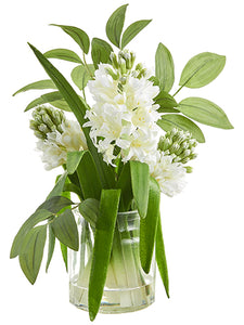 12.5" Hyacinth in Glass Vase  White Green (pack of 4)
