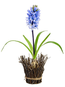 17" Hyacinth With Bulb in Twig Container Lavender (pack of 6)