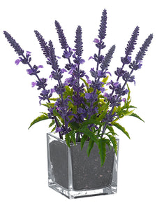 10" Lavender in Glass Vase  Lavender (pack of 6)