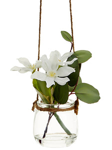 6"Hanging Narcissus/ Eucalyptus in Glass Vase White (pack of 12)