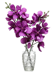 14.9" Orchid in Glass Vase  Violet Orchid (pack of 6)