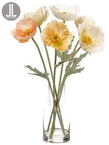 20" Poppy in Glass Vase  Mixed (pack of 4)