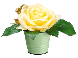 5" Rose in Tin Bucket  Pastel Yellow (pack of 12)