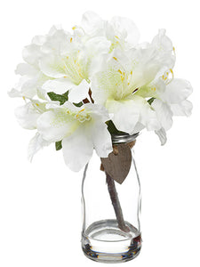 9" Rhododendron in Glass Vase  White (pack of 12)