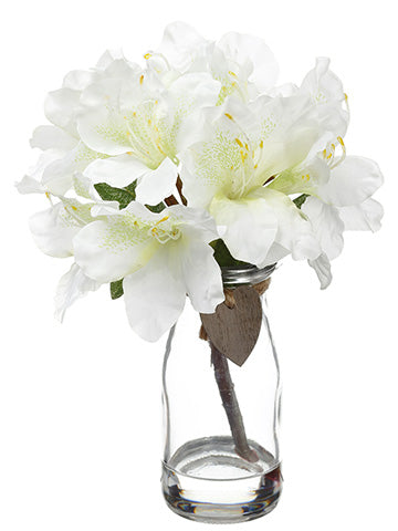 rhododendron in vase 9