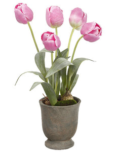 20" Tulip in Cement Urn  Pink (pack of 4)