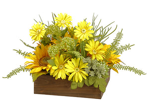 10" Sunflower/Daisy/Queen Anne's Lace in Wood Box Yellow Green (pack of 4)