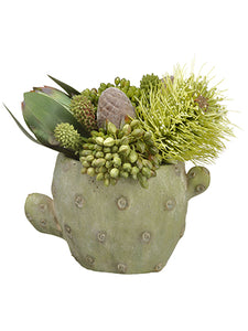 8" Protea/Leucadendron/Sedum in Cement Cactus Planter Green Brown (pack of 2)