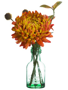 12" Chrysanthemum/Billy Button in Glass Vase Talisman (pack of 6)