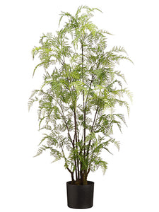 48" Lacy Leather Fern in Pot  Green (pack of 2)