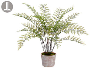 35" Fern in Clay Pot  Green (pack of 1)