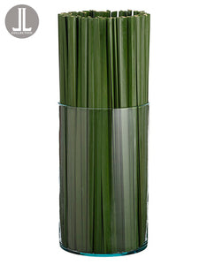 21" Pond Reed in Glass Vase  Green (pack of 1)