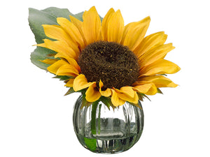 6" Sunflower in Glass Vase  Yellow (pack of 6)
