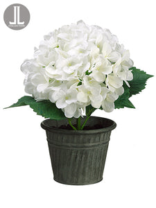 12" Hydrangea in Tin Pot  Cream Green (pack of 4)