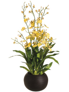 38" Dancing Orchid Plant in Sphere Vase Yellow (pack of 1)