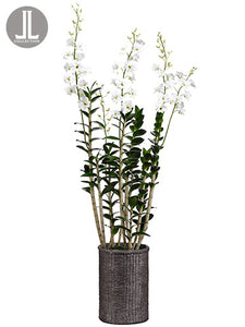 67" Dendrobium Orchid Plant in Cement Pot White (pack of 1)