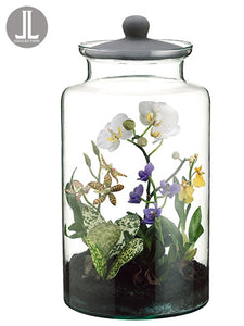 16" Mixed Orchid Plant in Glass Jar with Lid Mixed (pack of 1)