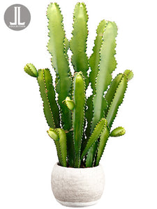 35" Cactus in Terra Cotta Pot  Green (pack of 1)