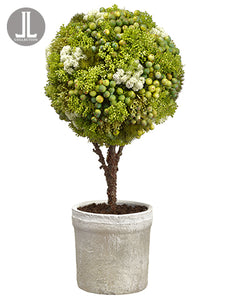 21" Sedum/Berry Ball Topiary in Clay Pot Green Cream (pack of 1)