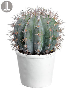 15.5" Barrel Cactus in Clay Pot Green Gray (pack of 4)