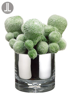7" Mohave Cactus in Glass Vase Green (pack of 4)