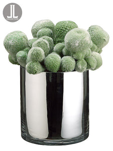 10" Mohave Cactus in Glass Vase Green (pack of 2)