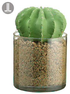 5.25" Barrel Cactus in Glass Vase Green (pack of 4)