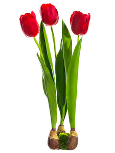 18" Standing Tulip With Bulb  Red (pack of 6)