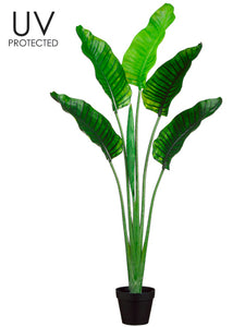 64" UV Protected Plastic Bird of Paradise Plant in Pot Green (pack of 2)