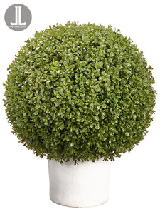 25" Boxwood Ball in Clay Pot  Green (pack of 1)