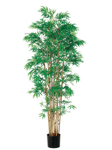 6' Japanese Bamboo Tree x15 with 3360 Leaves in Pot Two Tone Green (pack of 2)