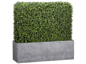 30"Hx9.5"Wx30"L Boxwood Hedgr in Wood Planter Green (pack of 1)