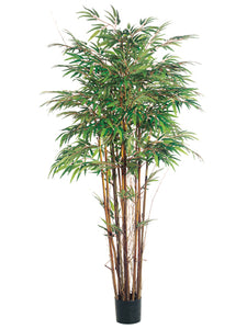 5' Natural Trunk Bamboo Tree x12 with 1840 Leaves in Pot Two Tone Green (pack of 2)