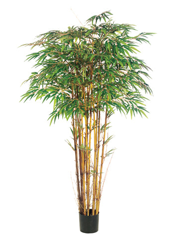 6' Natural Trunk Bamboo Tree x15 with 2240 Leaves in Pot Two Tone Green (pack of 2)
