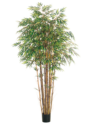 7' Natural Trunk Bamboo Tree x17 with 2560 Leaves in Pot Two Tone Green (pack of 2)