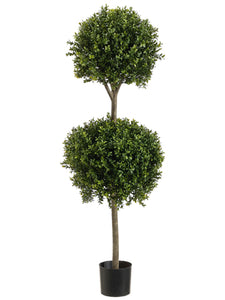 4' Double Ball-Shaped Boxwood Topiary in Plastic Pot Two Tone Green (pack of 1)