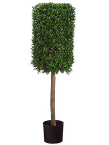 50" Rectangular Boxwood Topiary in Plastic Pot Two Tone Green (pack of 1)