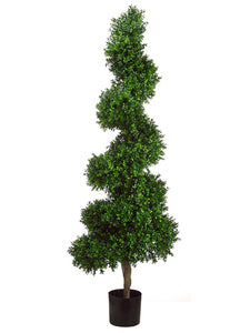 5.5' Spiral Boxwood Topiary in Plastic Pot Two Tone Green (pack of 1)