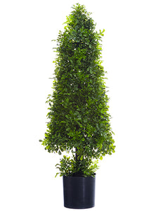 29" Boxwood Cone Topiary in Nursery Pot Green (pack of 1)