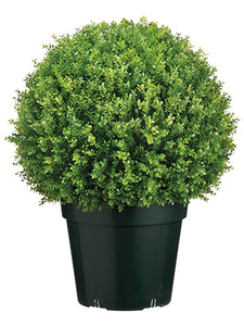28" Plastic Baby's Tear Ball Topiary in Pot Two Tone Green (pack of 1)