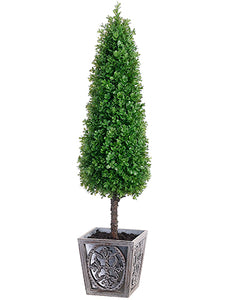 41" Boxwood Cone Topiary in Pot Green (pack of 1)