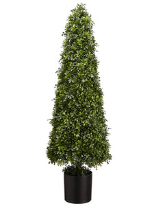 49" Boxwood Cone Topiary in Nursery Pot Green (pack of 1)