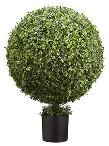 36" Boxwood Ball Topiary in Nursery Pot Green (pack of 1)