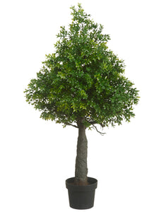 35.4" Boxwood Cone Topiary in Plastic Pot Green (pack of 2)