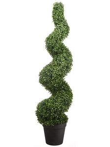 5' Boxwood Spiral Topiary in Pot Green (pack of 1)