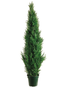 60" Cedar Topiary x1565 w/Pot (knockdown packing) Green (pack of 2)