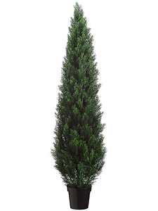 72" Cedar Topiary in Plastic Pot (knock-down Packing) Green (pack of 1)