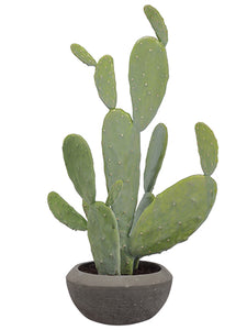 26" Pear Cactus in Cement Pot  Green (pack of 1)